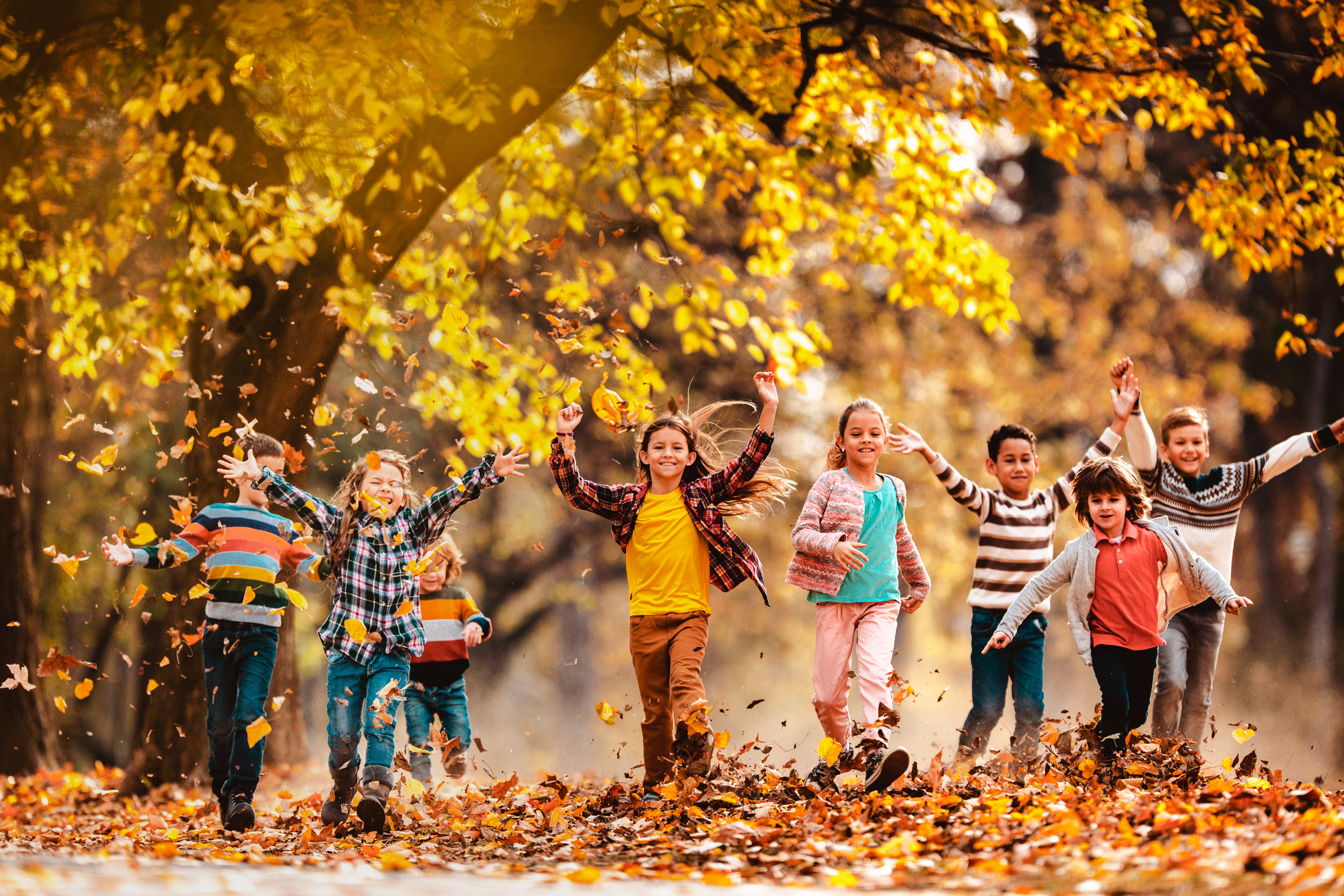 bunt gekleidete Kinder im herbstlich gefärbtem Wald_Herbstferienspecials Familienburg Scharfenstein